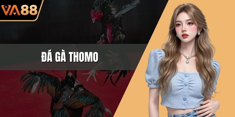 Đá Gà Thomo