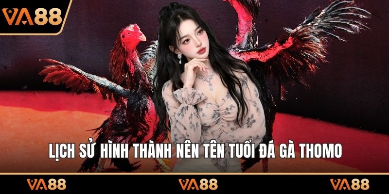 Lịch sử hình thành nên tên tuổi đá gà Thomo