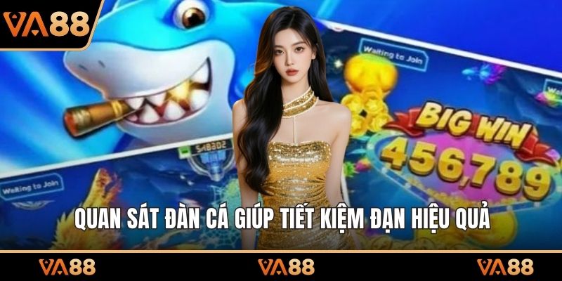 Quan sát đàn cá giúp tiết kiệm đạn hiệu quả