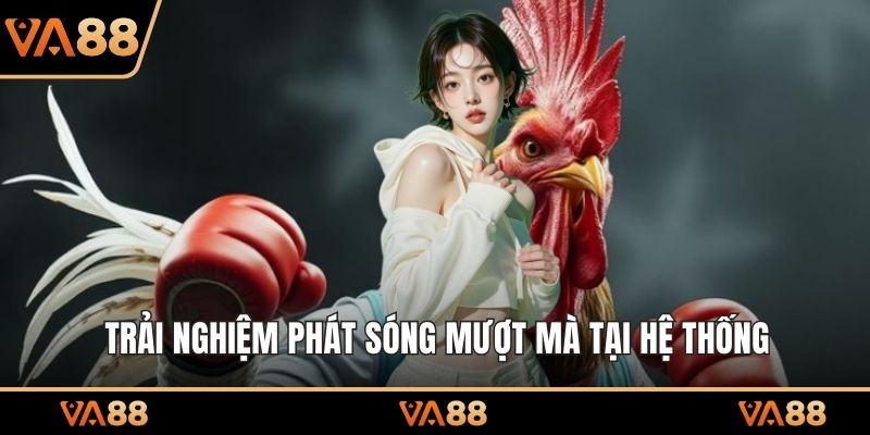 Trải nghiệm phát sóng mượt mà tại hệ thống
